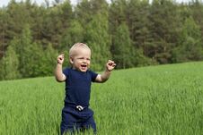 Happiness Baby Boy Sitting On The Grass In Field Royalty Free Stock Photo