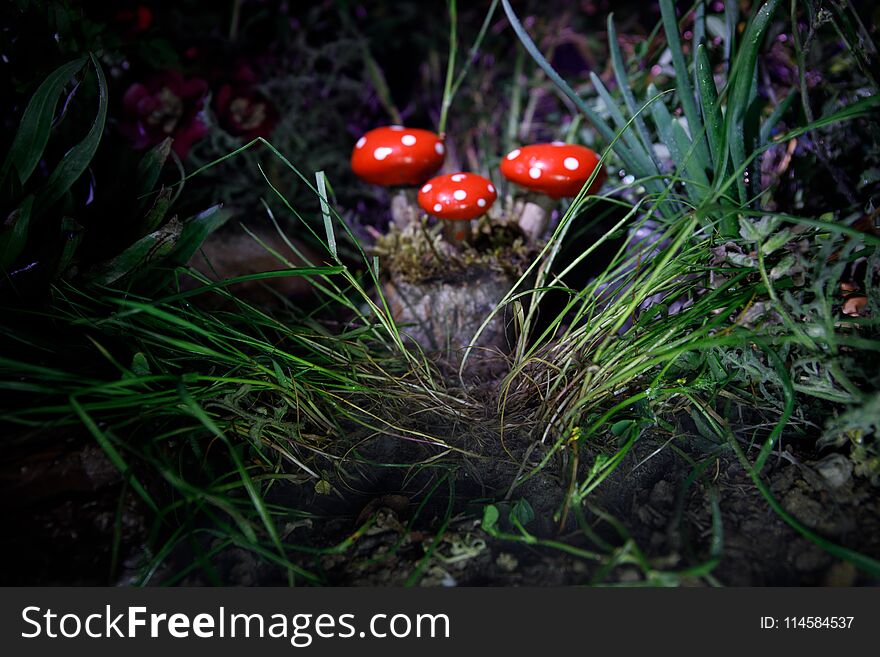 Mushroom. Fantasy Glowing Mushrooms in mystery dark forest close-up. Amanita muscaria, Fly Agaric in moss in forest. Magic mushroo