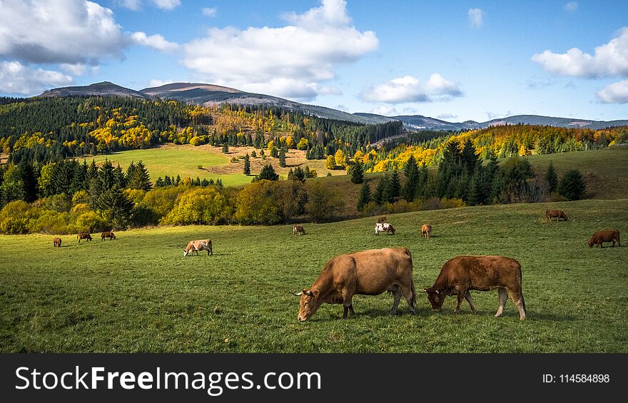 View of the countryside of Central Slovakia in autumn. The meadow below the hill called Kralova Hola. View of the countryside of Central Slovakia in autumn. The meadow below the hill called Kralova Hola