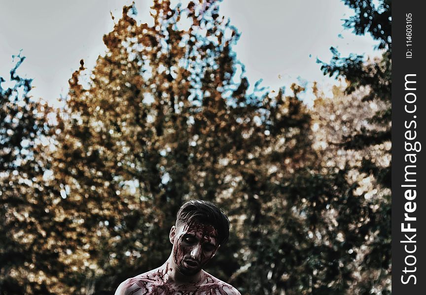 Photo Of Man Full Of Blood Near Trees