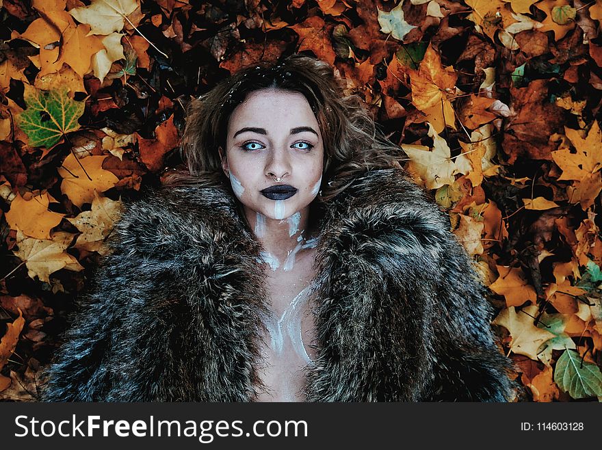 Woman in Black Fur Coat Laying on Brown Maple Leaves