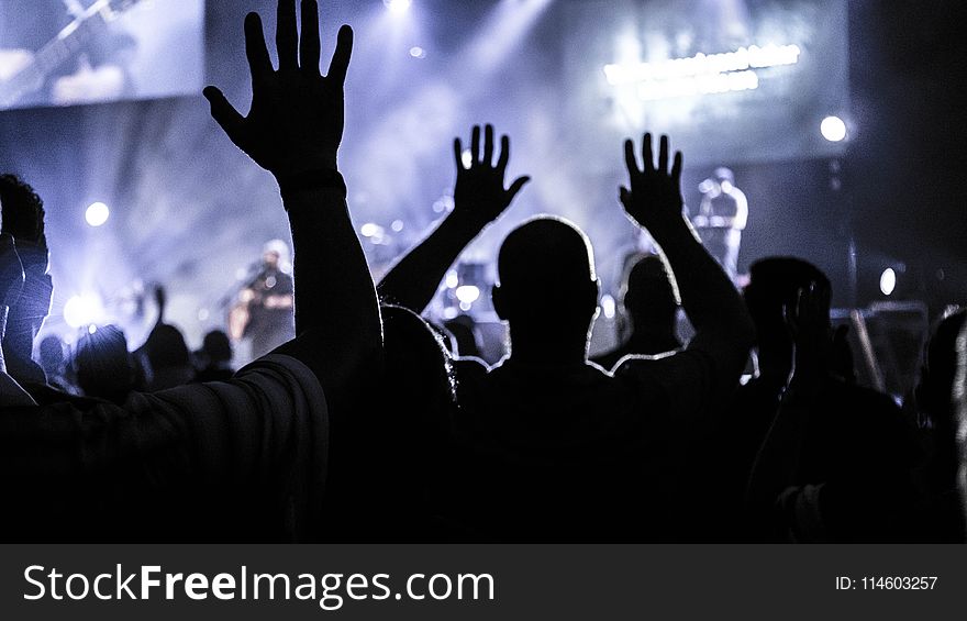 Group of People Raising Hands Silhouette Photography