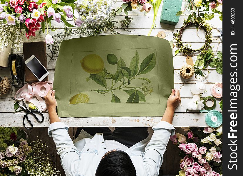Person Holding Plant Painting
