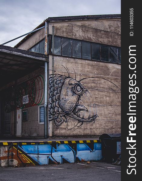 Closed Brown Building With Monster Fish Graffiti Photography