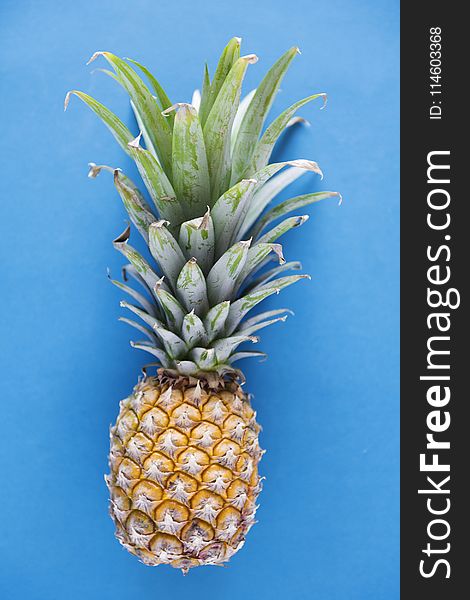 Photography Of Pineapple On Blue Background