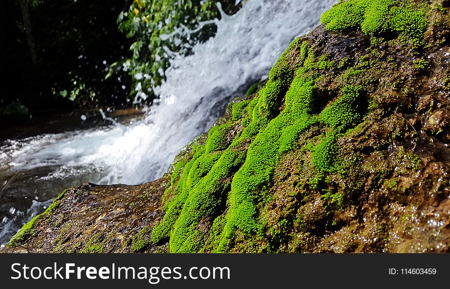 Photo of Waterfalls