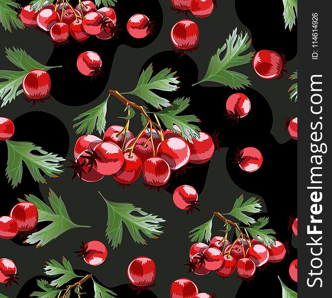 Seamless pattern with hand drawn hawthorn brunches. For textile, wallpapers and others
