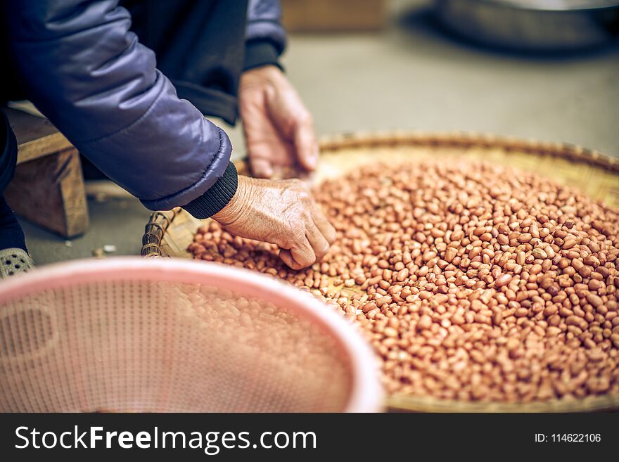 A woman cleaning peanuts in Vietnam