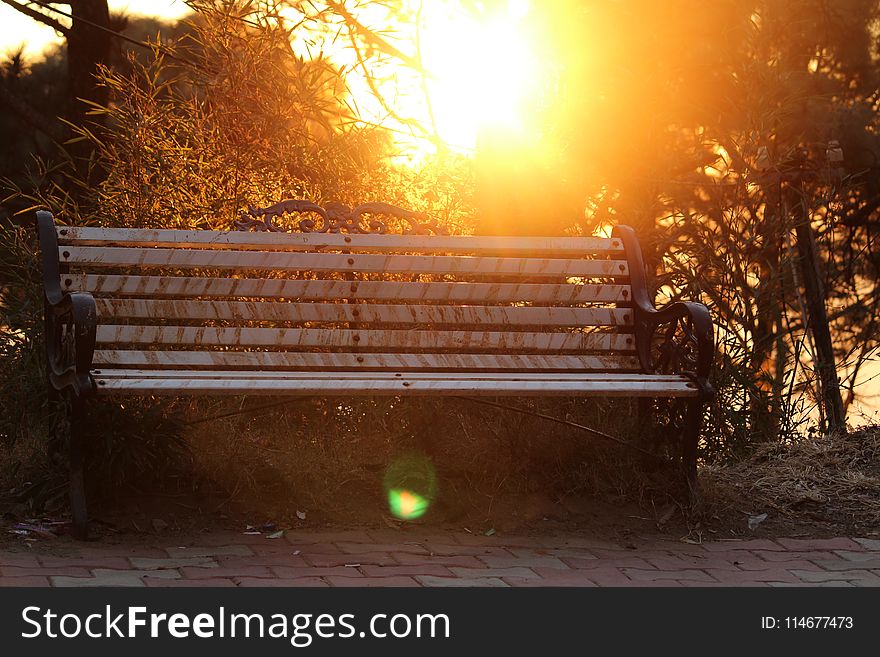 Brown Metal-framed Bench Surrounded by Trees