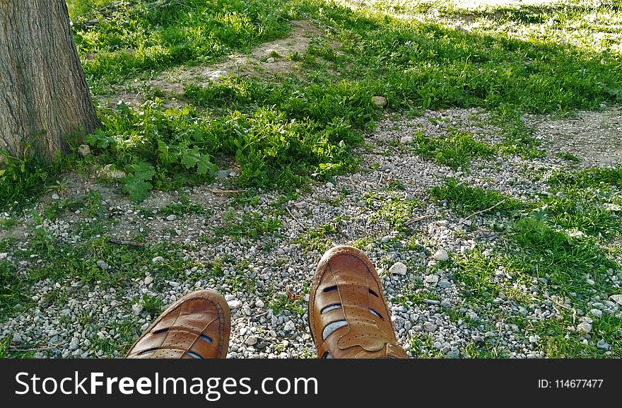 Person Wearing Fisherman Sandals - Free Stock Images & Photos ...
