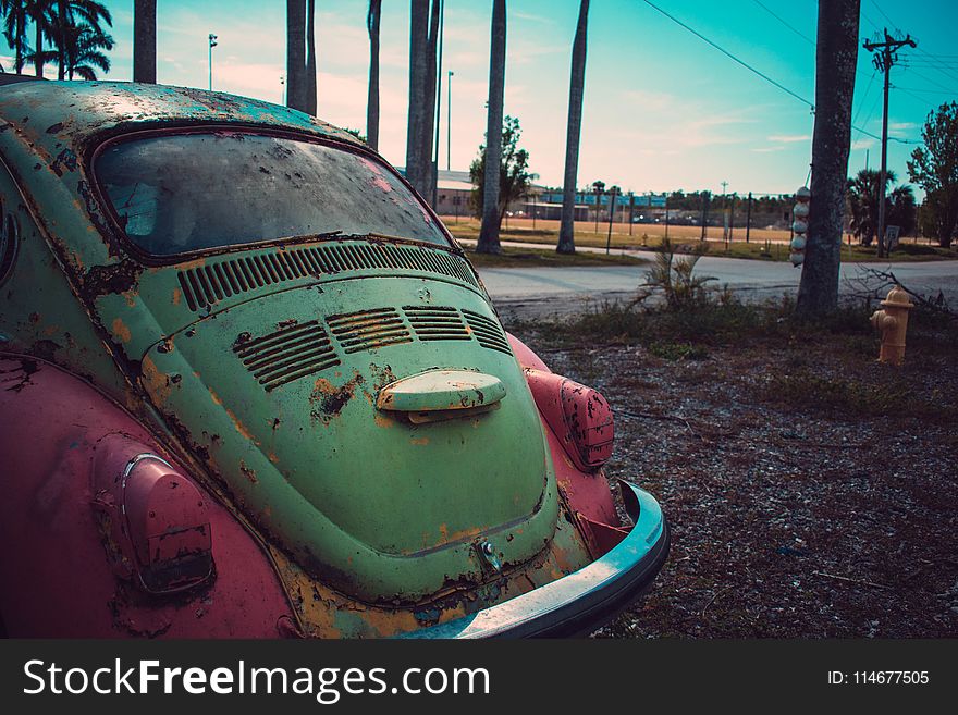 Photography of Green and Pink Volkswagen Beetle Parked Beside The Road