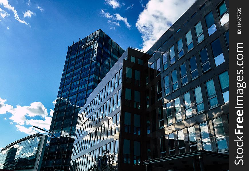 Low-angle Photography of Curtain Wall Building Taken Under White Clouds and Blue Sky