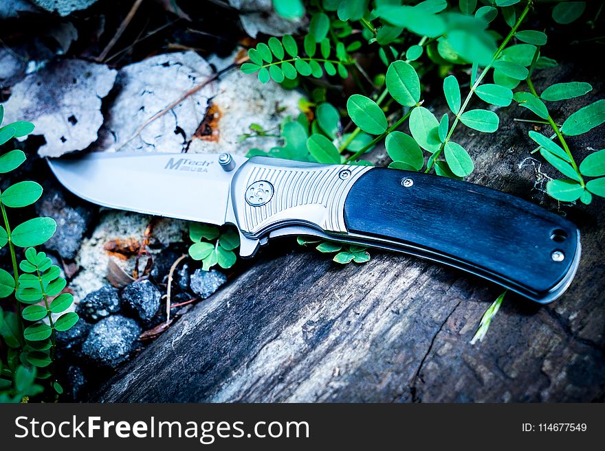 Photography of Knife Near Leaves