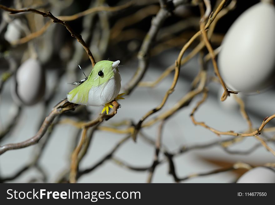 Green and White Bird Toy Perched on Tree Branch at Daytime