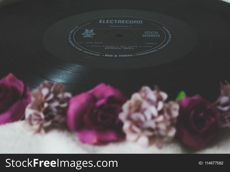 Floral Electrocord Vinyl Record Decor