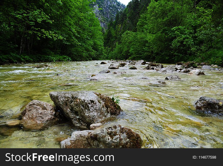 River Between Mountain Surrounded by Green Leaf Trees