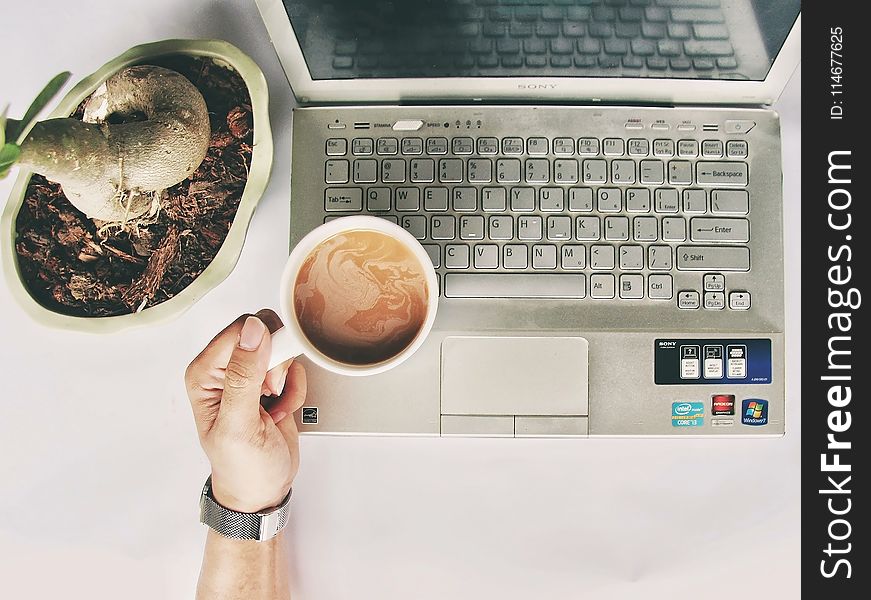 Person Holding White Mug On Gray Laptop Computer