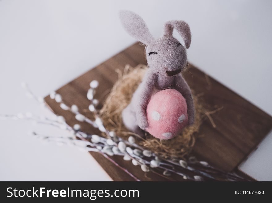 Close-up Photo of Bunny Plush Toy