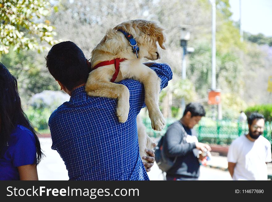 Man In Blue Long-sleeved Shirt Carrying Dog