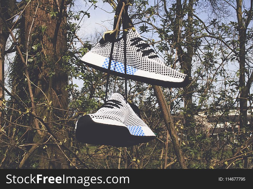 Pair of White Low-top Shoes Hanging on Tree
