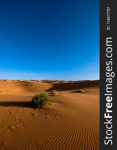 Photography Of Sand Dunes Under Blue Sky