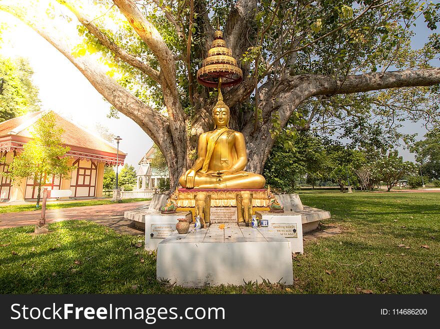Golden Buddha sitting under the tree Green leaf Pho at Out door.
