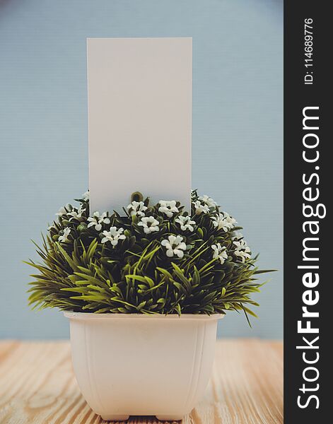 Blank business cards and little decorative tree in white vase on