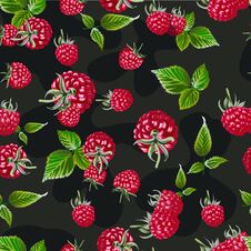 Raspberry Seamless Pattern. Natural Fresh Bilberry Embroidery Background Pattern. Royalty Free Stock Images