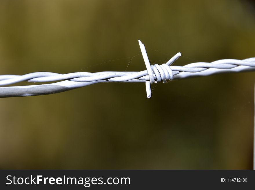 Wire Fencing, Barbed Wire, Close Up, Macro Photography