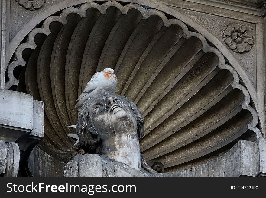 Stone Carving, Sculpture, Statue, Pigeons And Doves