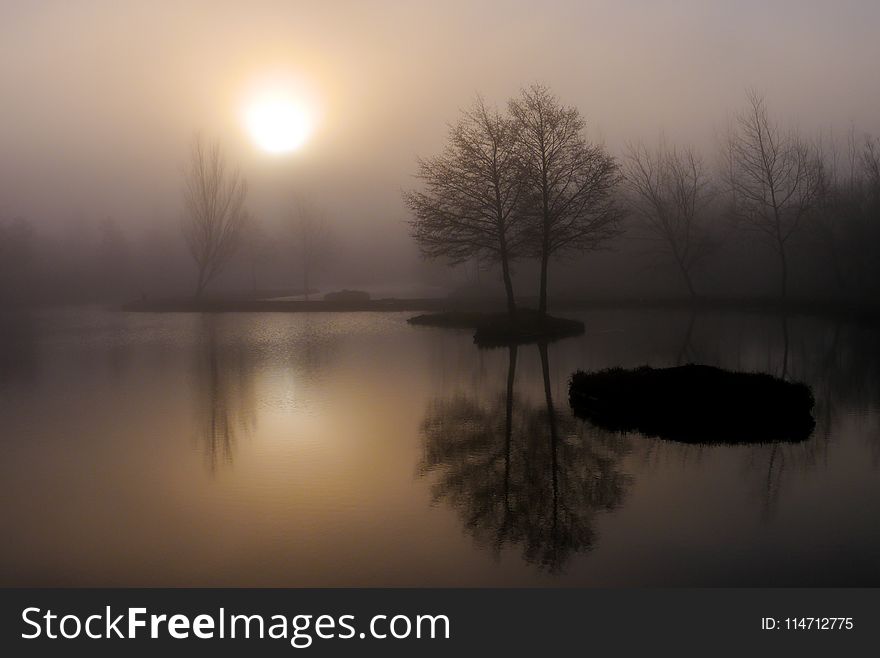 Fog, Reflection, Mist, Atmosphere
