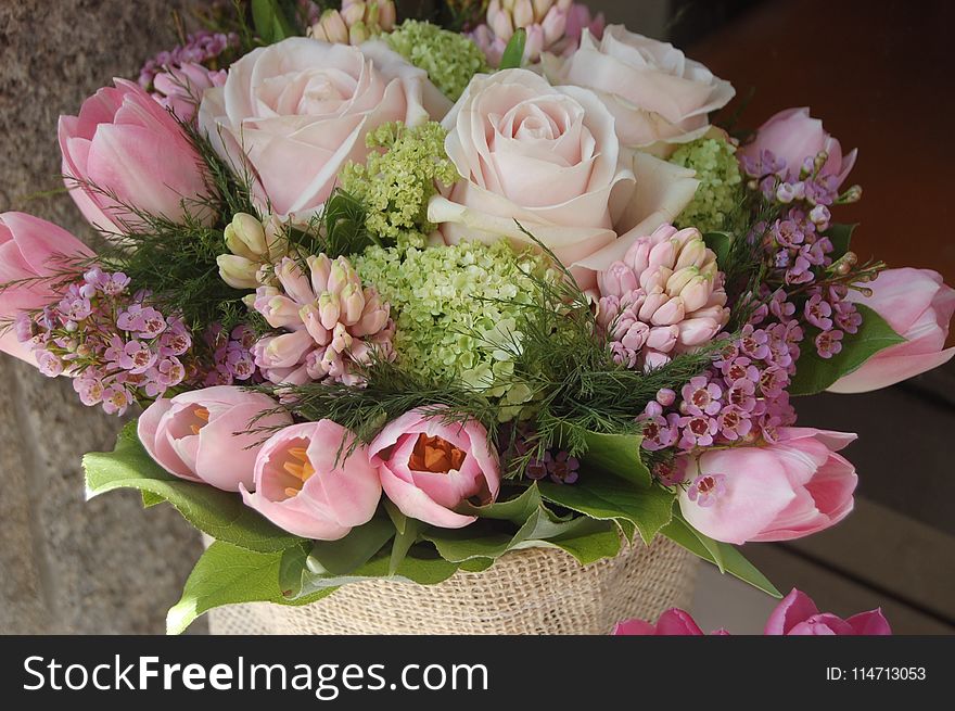 Flower, Flower Arranging, Pink, Floristry