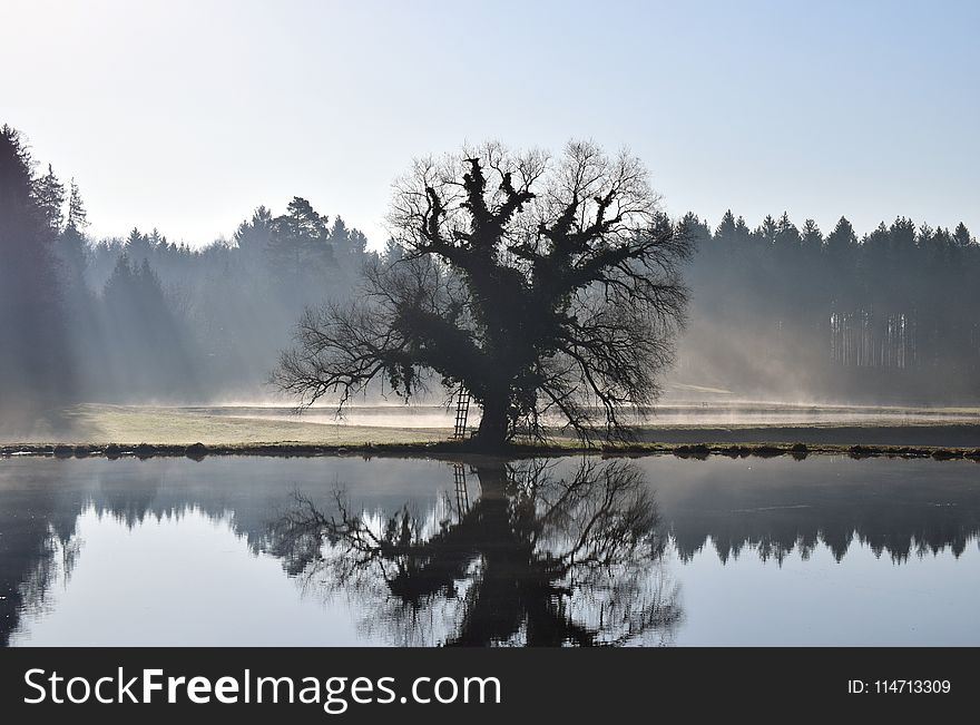 Reflection, Water, Nature, Mist