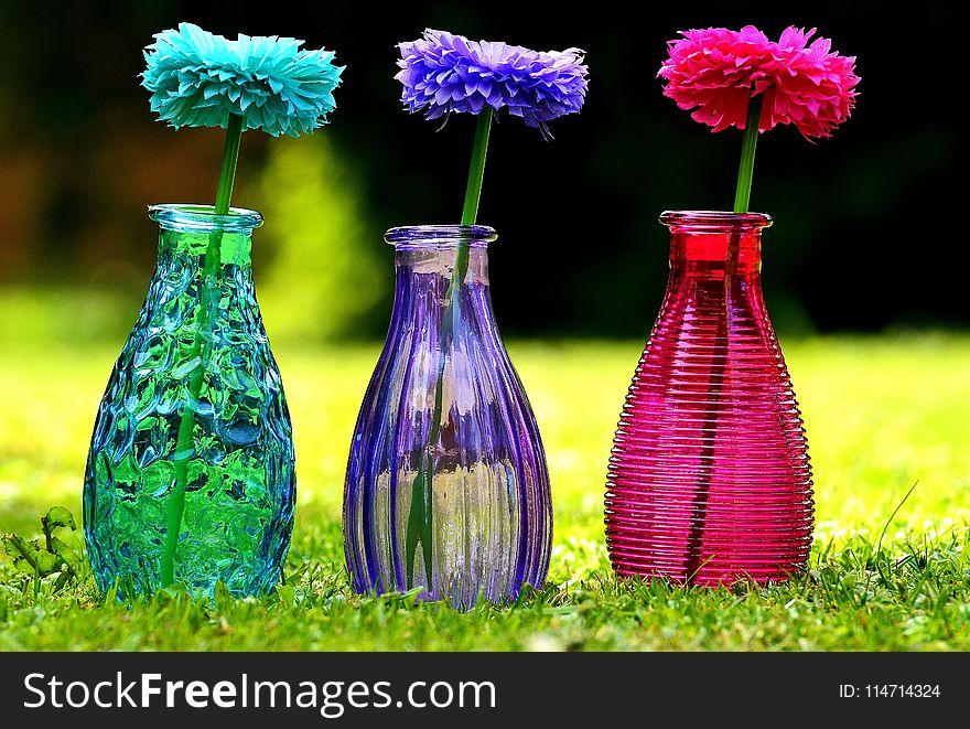 Flower, Purple, Glass Bottle, Vase