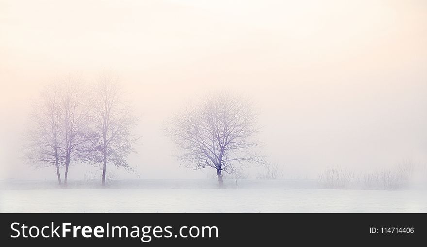 Winter, Fog, Freezing, Sky