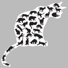 Cats Silhouettes Inside One Cat Royalty Free Stock Photo