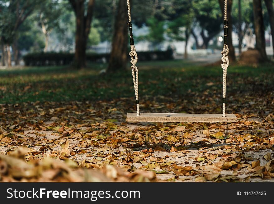 Empty wood swing in the park,Wood swing In the park,swing in a playground on the grass. Empty wood swing in the park,Wood swing In the park,swing in a playground on the grass.