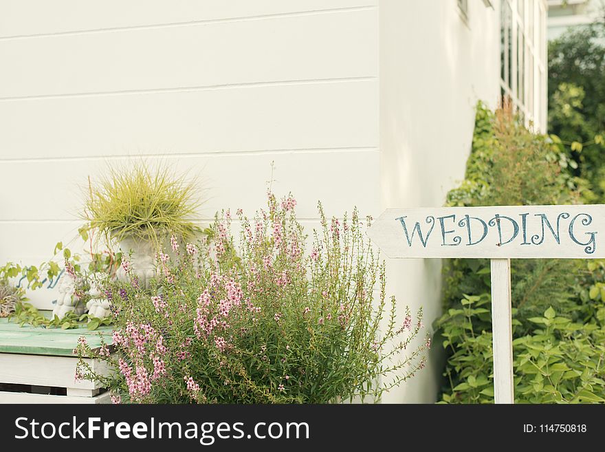 Wedding Sign Near House With Green Plants