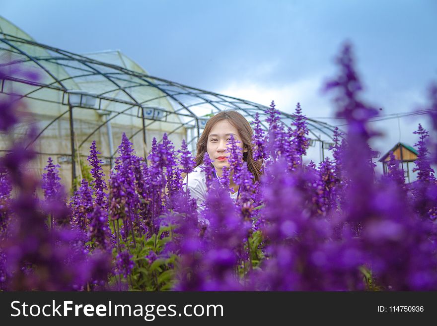 Woman Standing Behind Purple Petaled Flowers