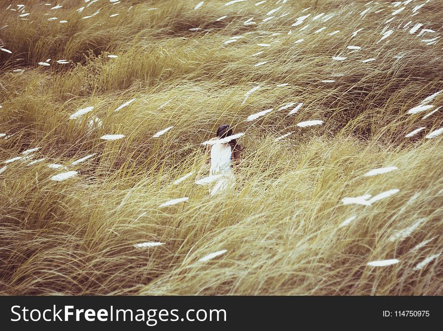 Woman Wearing White Dress Standing in the Middle of Grasses