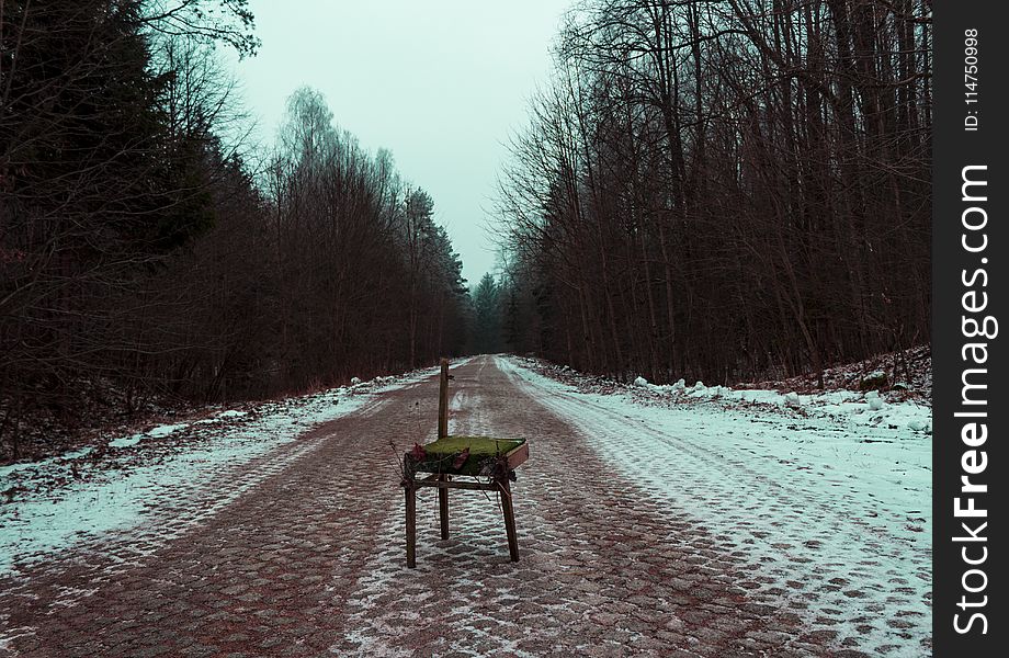 Photography of broken brown chair in the Middle of Road Surrounded by Trees