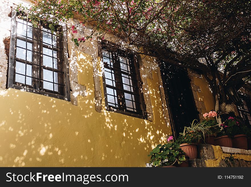 White And Brown Concrete Building Near Tree