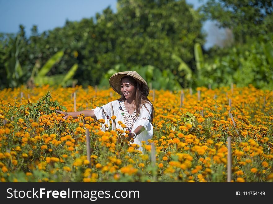 Happy And Beautiful Young Asian Woman Wearing Traditional Hat Enjoying Excited The Fresh Beauty Of Orange Marigold Flowers Field N