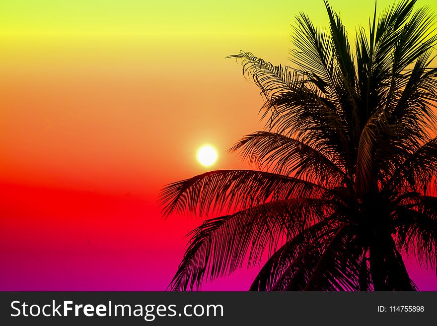 sunset and silhouette coconut leaves and colorful sky