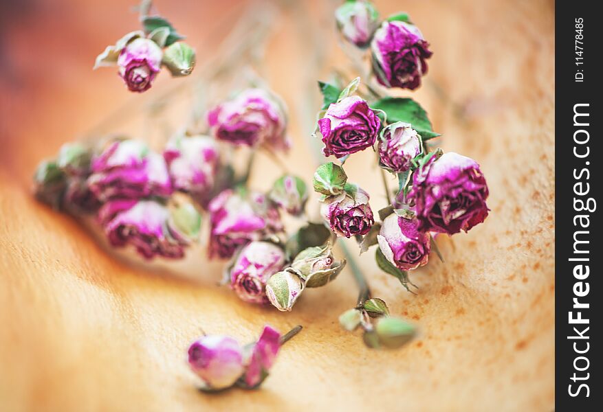 Vintage background with dry tea roses on the wood