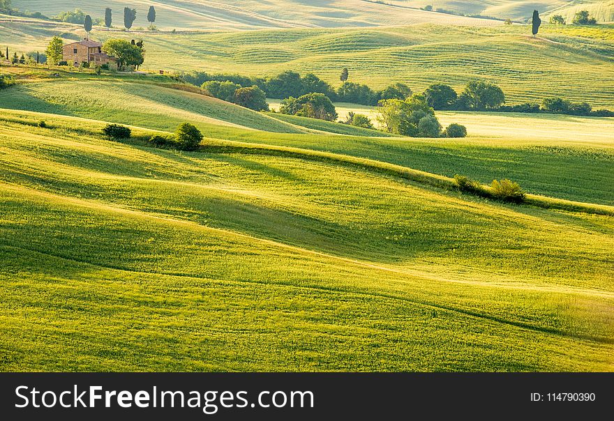 Grassland, Field, Pasture, Hill