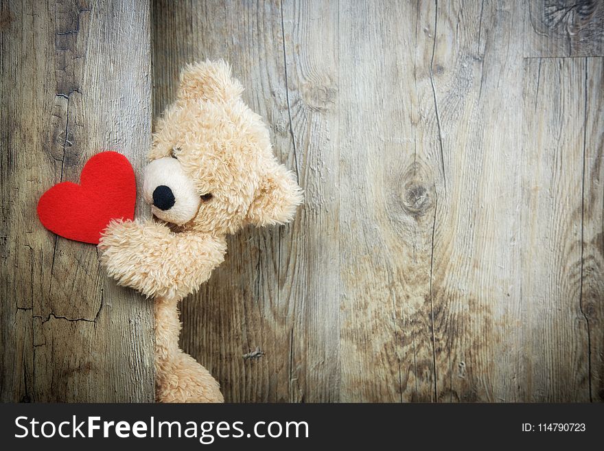 Teddy Bear, Wood, Stuffed Toy, Snout
