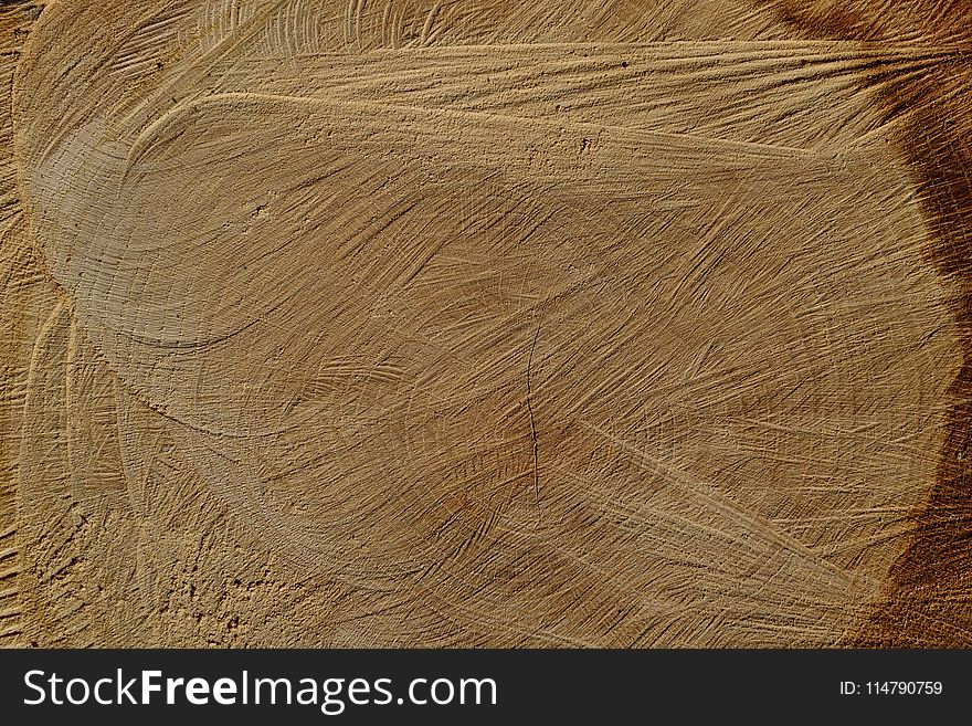 Wood, Texture, Wood Stain, Grass Family