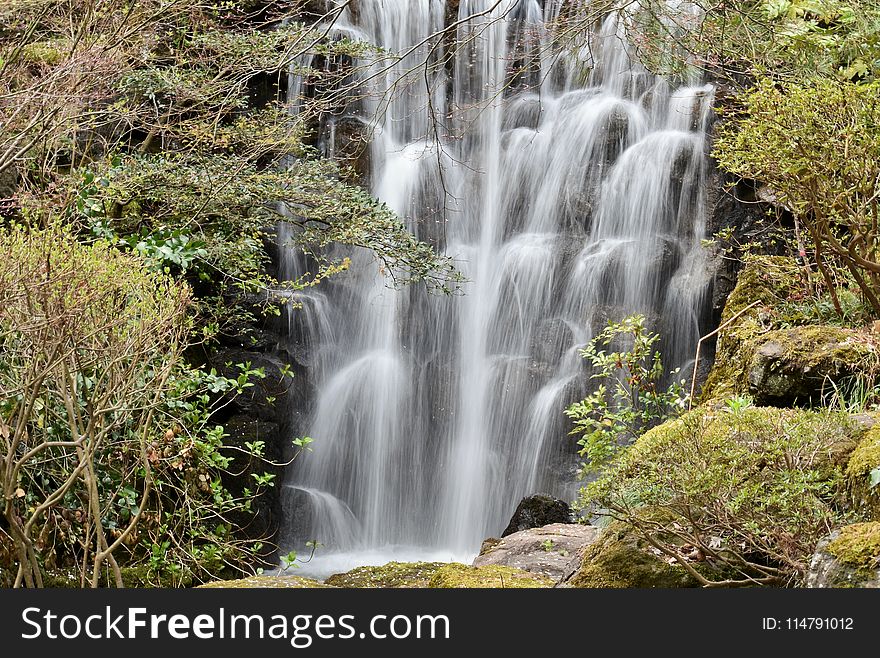 Waterfall, Water, Nature, Vegetation