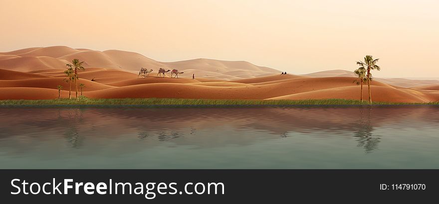 Erg, Desert, Aeolian Landform, Landscape